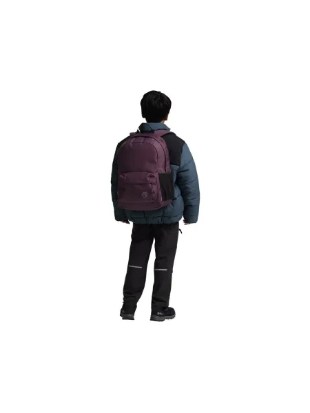 Rucsac copii Jack Wolfskin violet