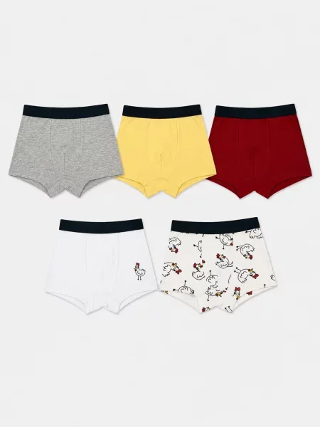 Sinsay boxerky s motivem kuřat 5 pack vícebarevná