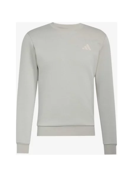 Bluza z kapturem adidas Terrex Snow Sport Graphic szary jasny beżowy S czarny