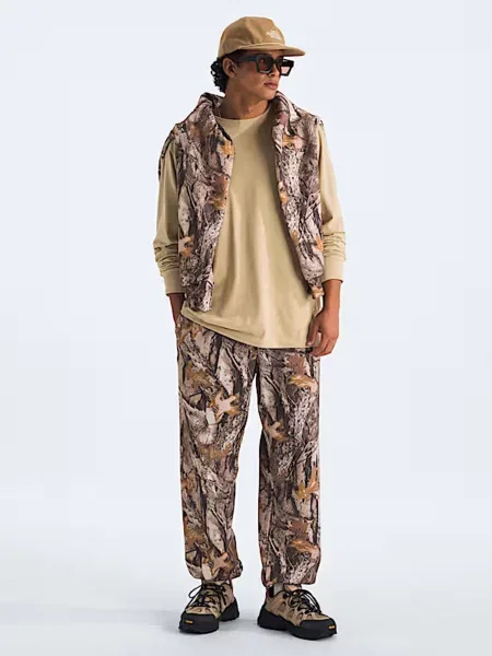 Лонгслів The North Face M EVOLUTION SIMPLE DOME REGULA бежевий