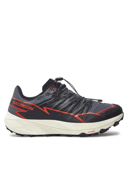 Salomon Маратонки за бягане Thundercross Gore-Tex сив