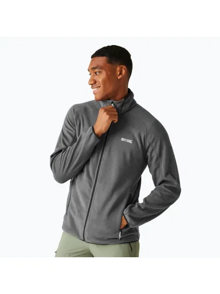 Мъжки поларен суитшърт REGATTA Hadfield seal grey сиво