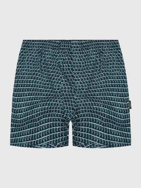 Темно-сині боксери в візерунок Ermenegildo Zegna сині