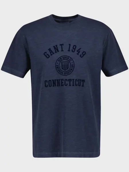Футболка Gant з принтом синя