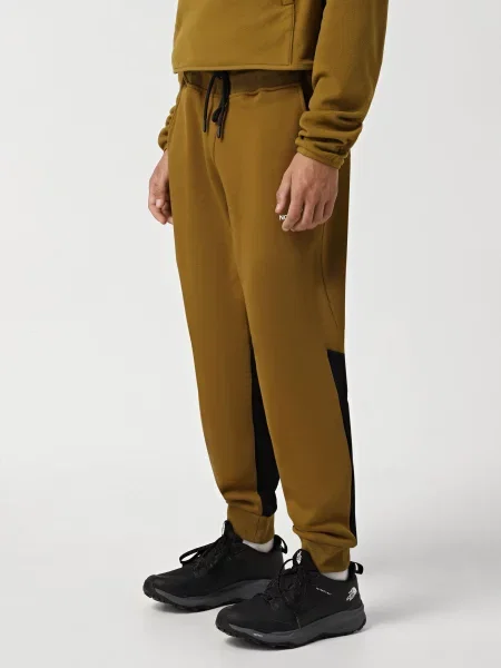 Штани повсякденні The North Face гірчичний