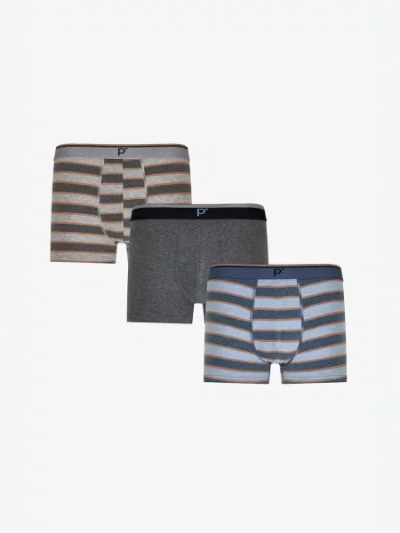 Penti Boksarice PENTI Herren-Boxershorts mit Kontraststreifen mešane barve
