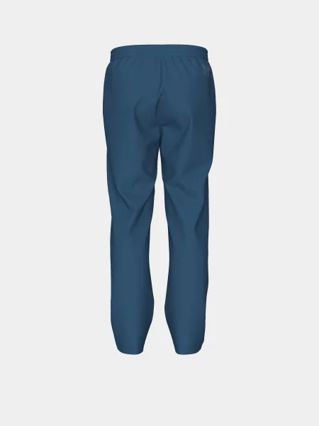 Спортивні штани Arena синій