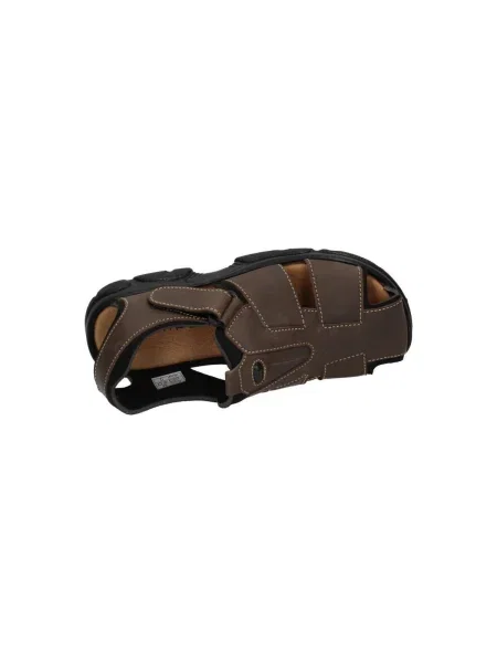Pantofi Dliro maro