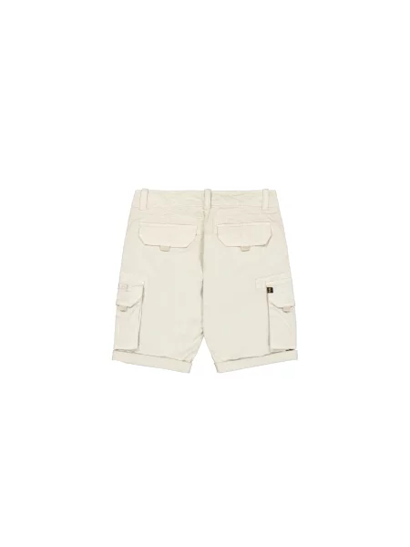 ALPHA INDUSTRIES Pantaloni piatră gri