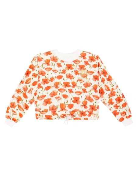 Vesta Suncracy