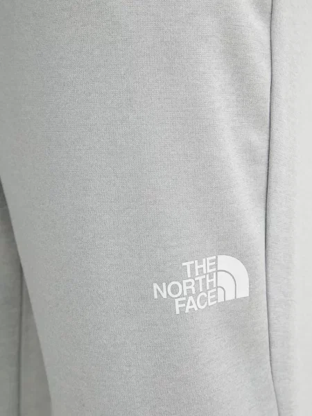 Спортивные штаны The North Face