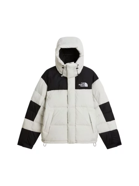 Kurtka The North Face szara