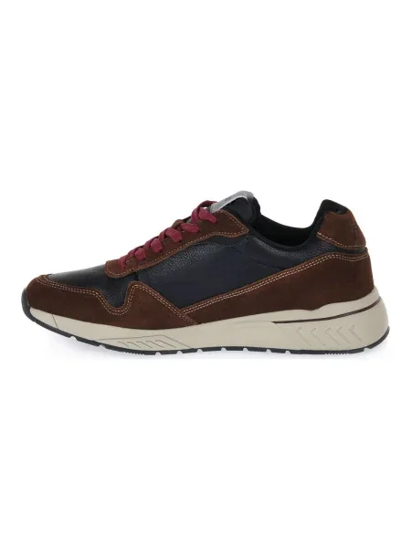 Pantofi Frau maro