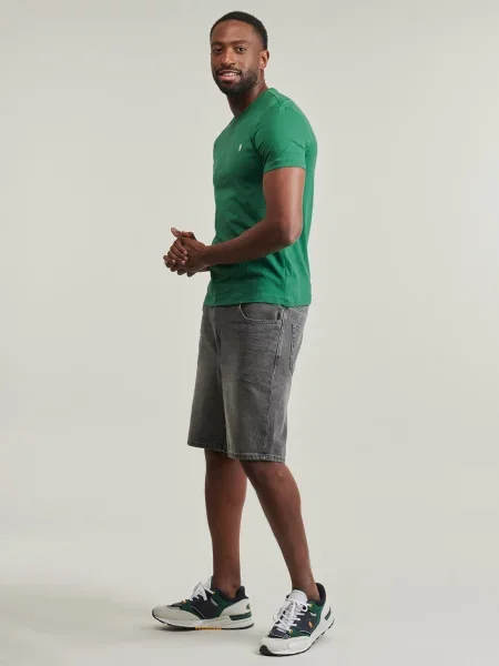 Tricou polo Polo Ralph Lauren verde