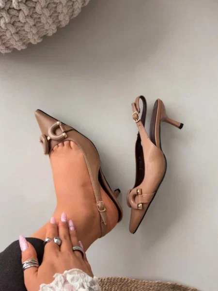 Salonarji Boto rjava