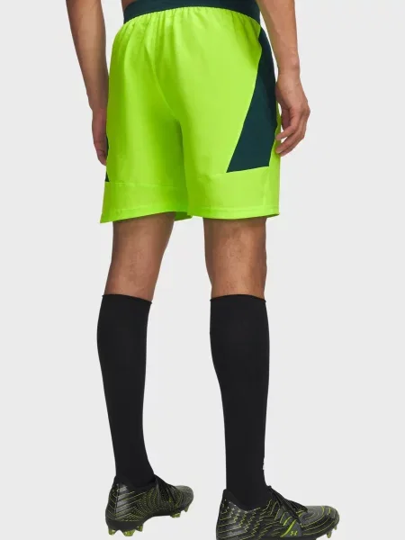 Спортивные шорты Under Armour