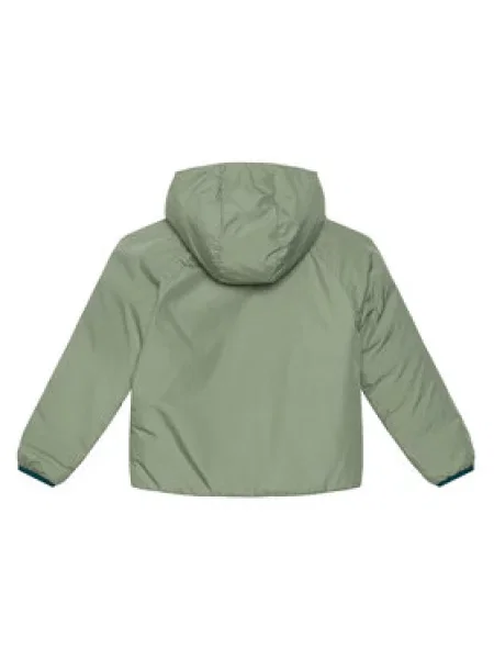 The North Face Žieminė striukė Perrito Tamsiai žalia