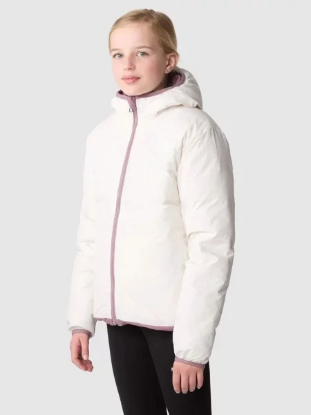 Пуховик The North Face с капюшоном