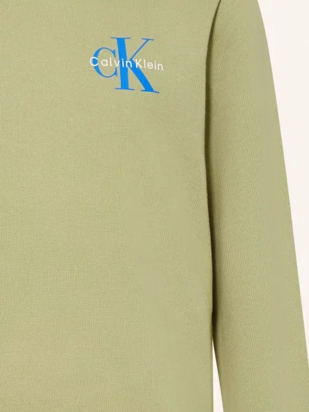 Calvin Klein Bluza Z Kapturem gruen niebieska