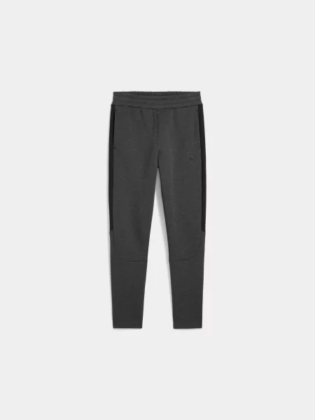 Штани спортивні PUMA Evostripe Core Pants комбінований верх сірий