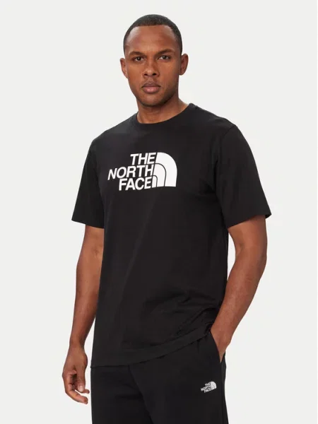 The North Face T-Shirt Evolution Half Dome czarny
