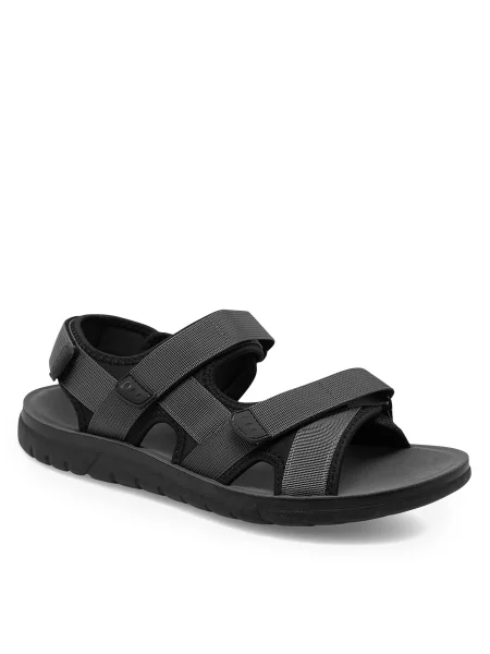 Lanetti Basutės pilka