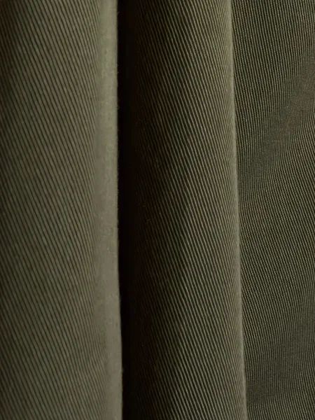 Pantaloni scurți Dickies plisate cu autograf verde
