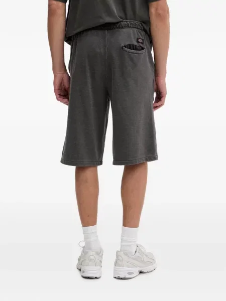 Šortky Dickies sivá