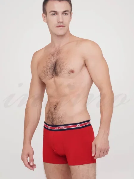 Боксеры Jolidon серые