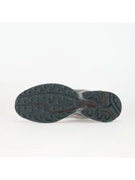 Кросівки Salomon Advanced срібні