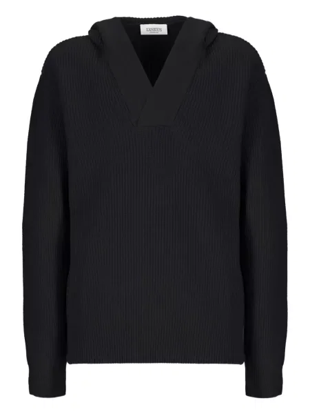 Суичър с качулка Laneus черно