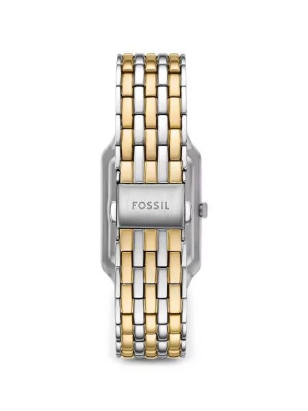 Ceas Fossil