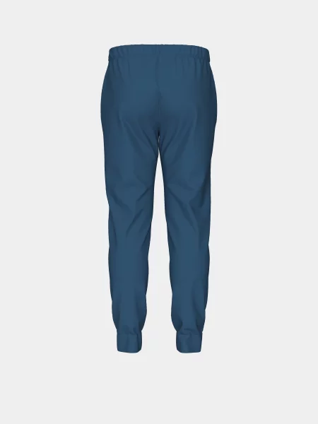 Спортивні штани Arena синій