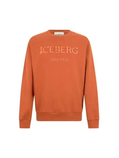 Bluza Iceberg brązowa