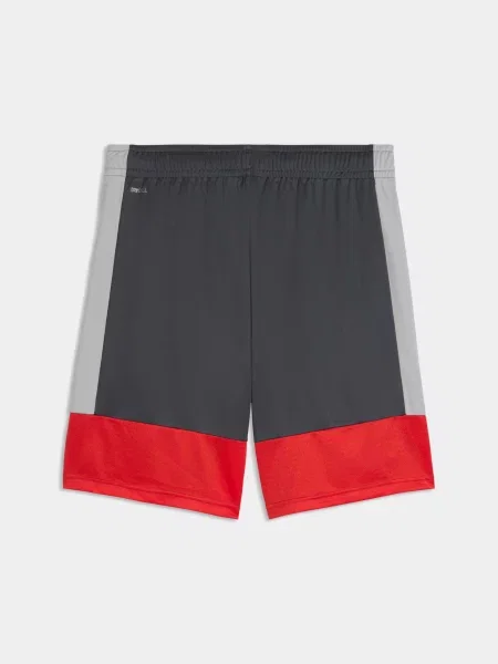 Шорты Puma серые