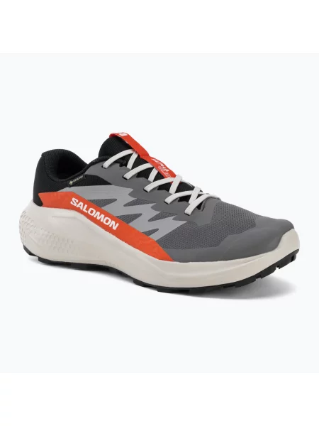 Încălțăminte de alergare pentru bărbați Salomon Alphaglide GTX castlerock/lunar rock