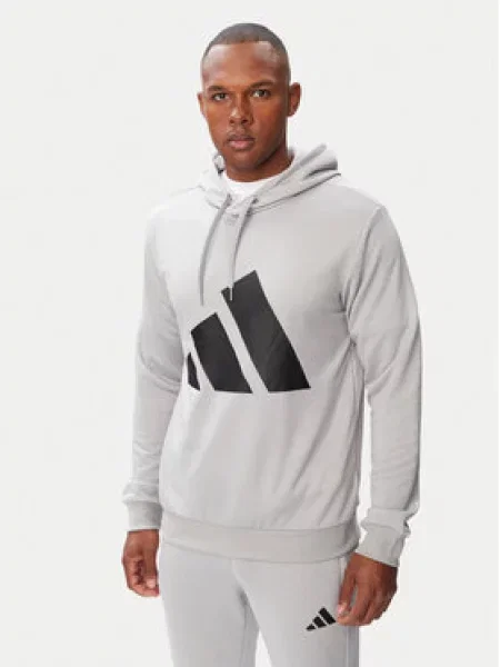 Adidas Sportinis kostiumas Big Logo Hooded Tracksuits pilka