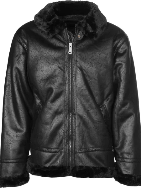 ALPHA INDUSTRIES Geacă de iarnă FL' negru