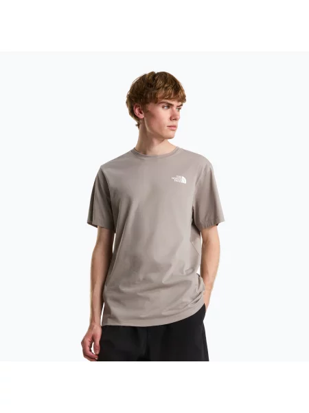 Tricou pentru bărbați The North Face Evolution Box NSE stone slab
