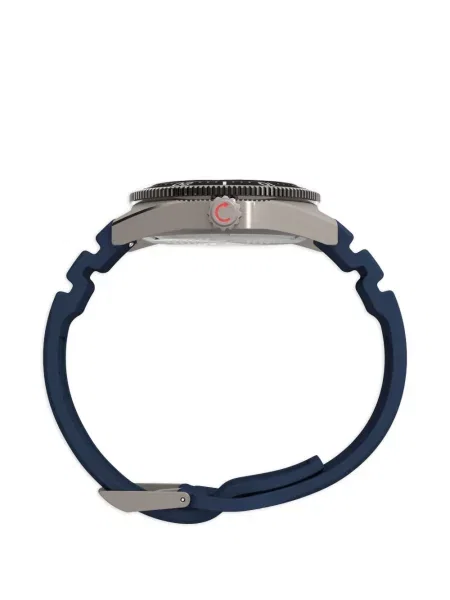 Ceas Timex gri