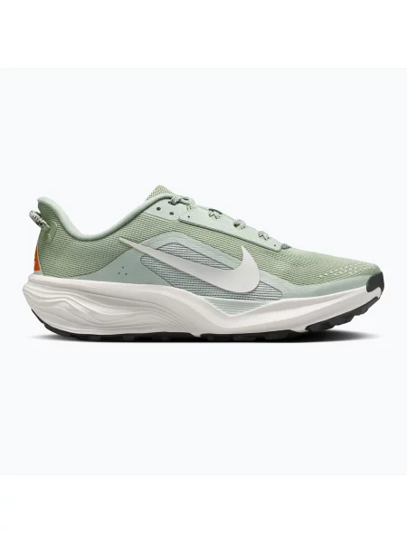 Мъжки обувки за бягане Nike ACG Pegasus Trail jade horizon/light silver/phantom зелено
