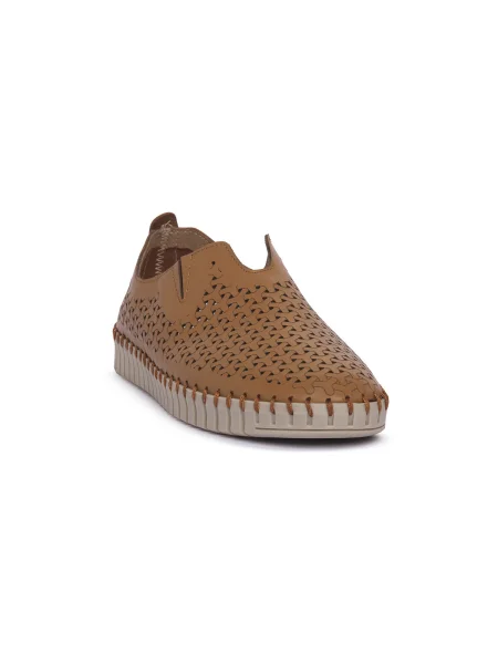 Pantofi Frau maro