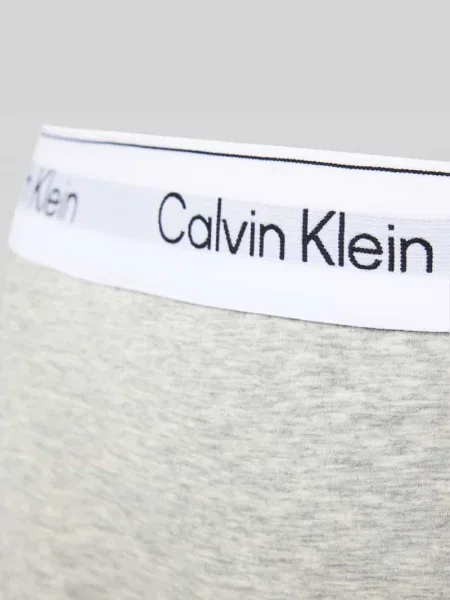 Majtki z wyhaftowanym logo model ‘Boyleg’ Calvin Klein Underwear