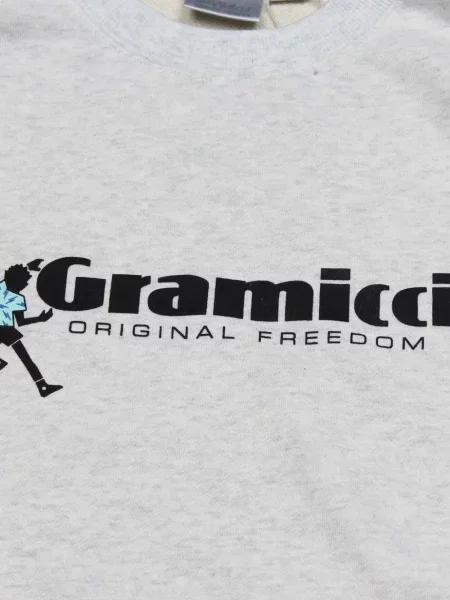 Hanorac Gramicci gri