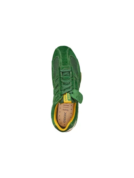 Sneakers Geox U Snake Original verde
