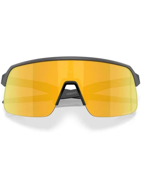 Ceas Oakley gri