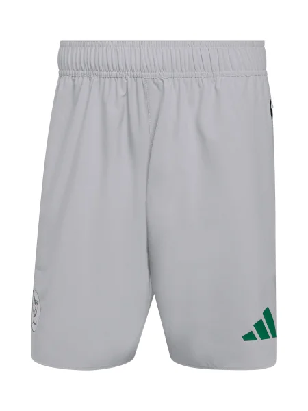 ADIDAS PERFORMANCE Sportske hlače Algeria Tiro / zelena siva