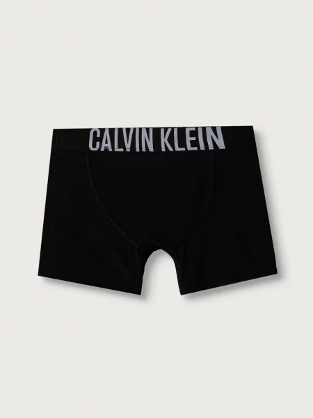 Calvin Klein Underwear testhezálló boxeralsó gyerek elasztánnal csomag szürke