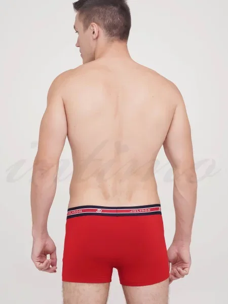 Боксеры Jolidon серые