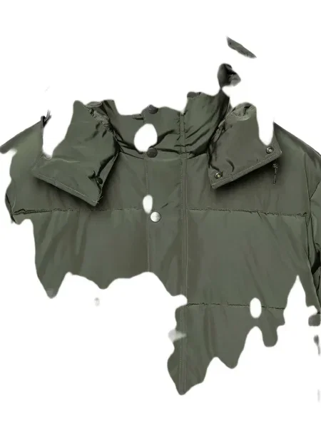 Geacă Carhartt Wip cu glugă verde
